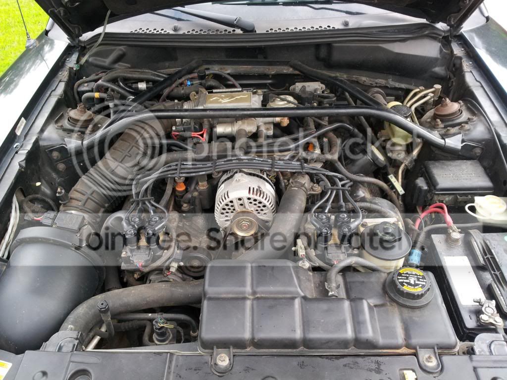 20130912_1814411_zps219364e1.jpg