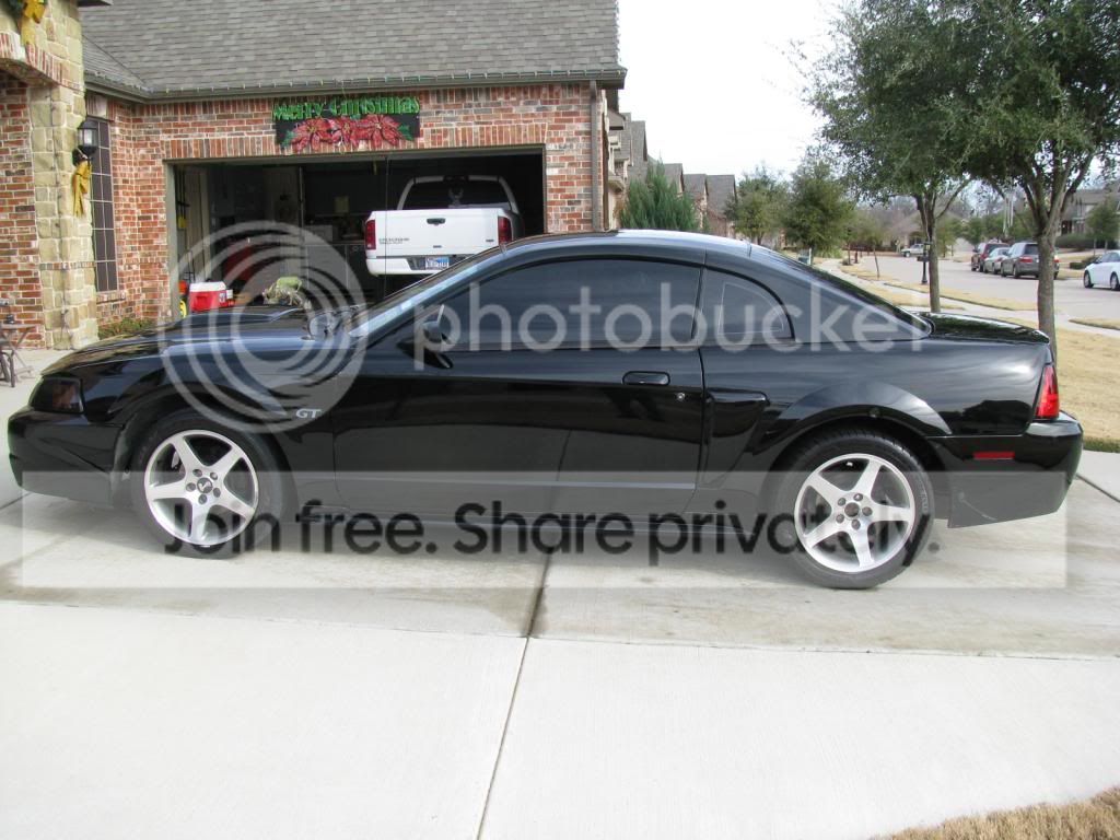 IMG_0719_zps9a8972af.jpg
