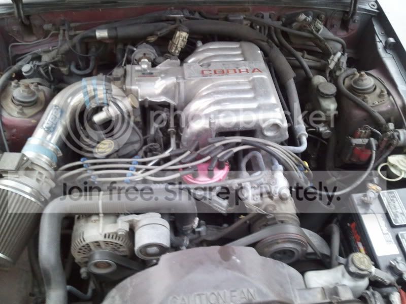 2011-04-18191015.jpg