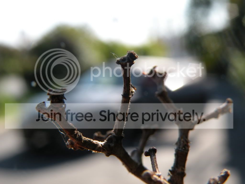 DSCN4076.jpg