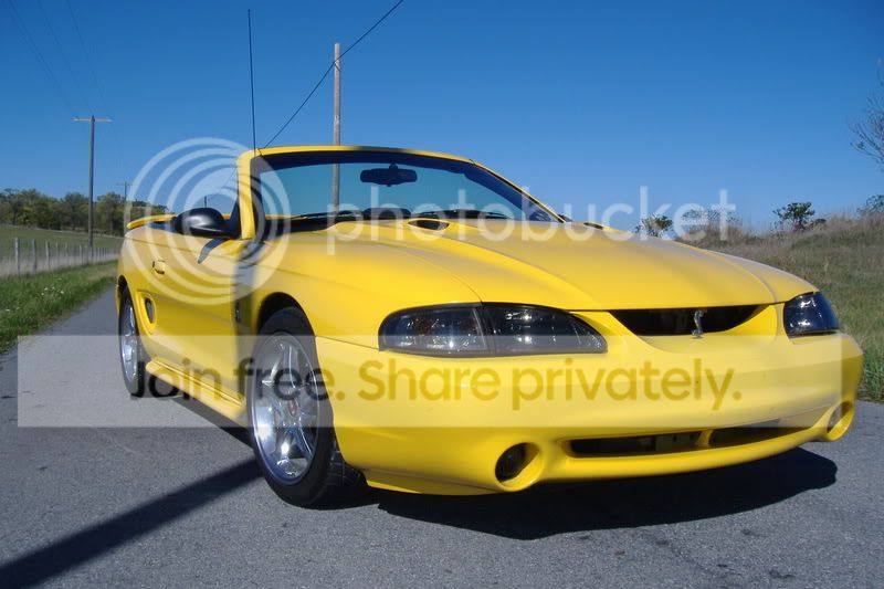 random028.jpg