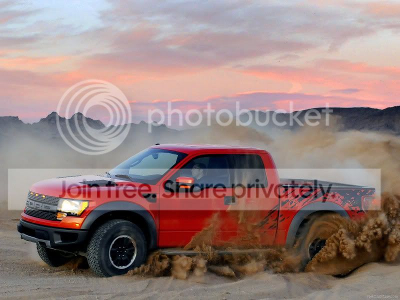 raptor13.jpg