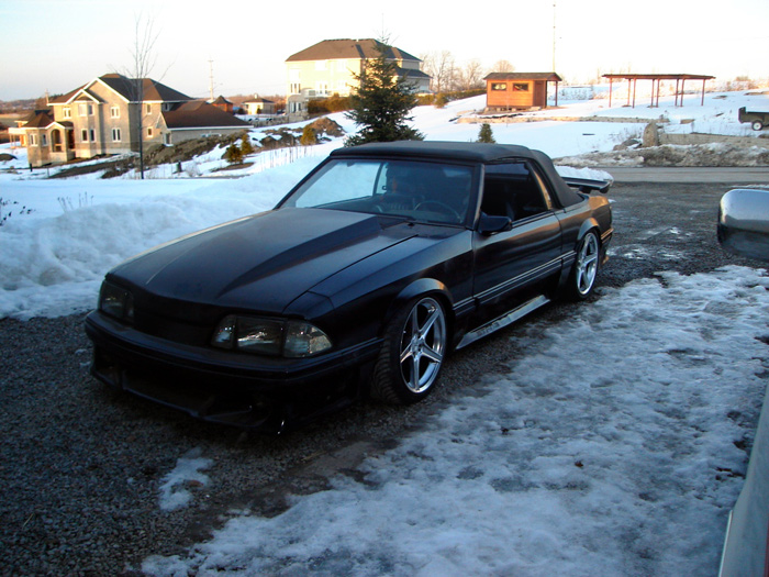 infamousstang3.jpg