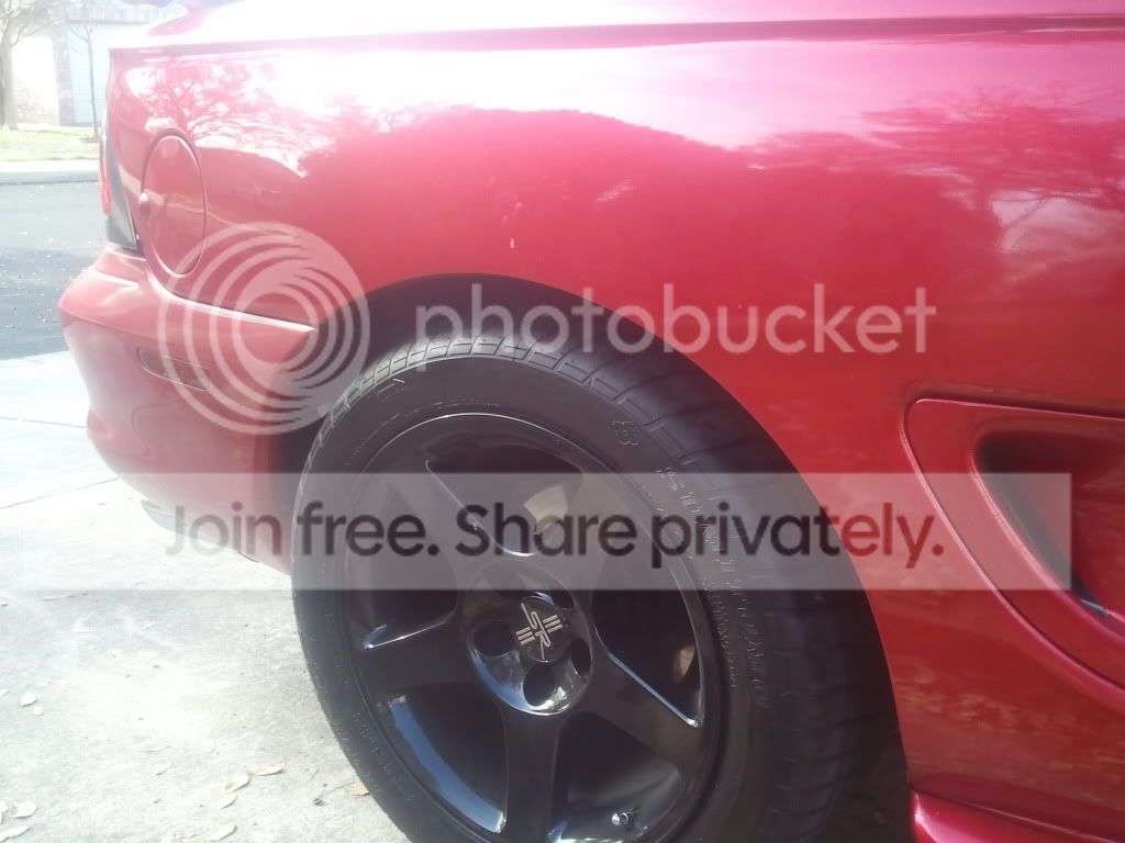 2011-03-08163756.jpg
