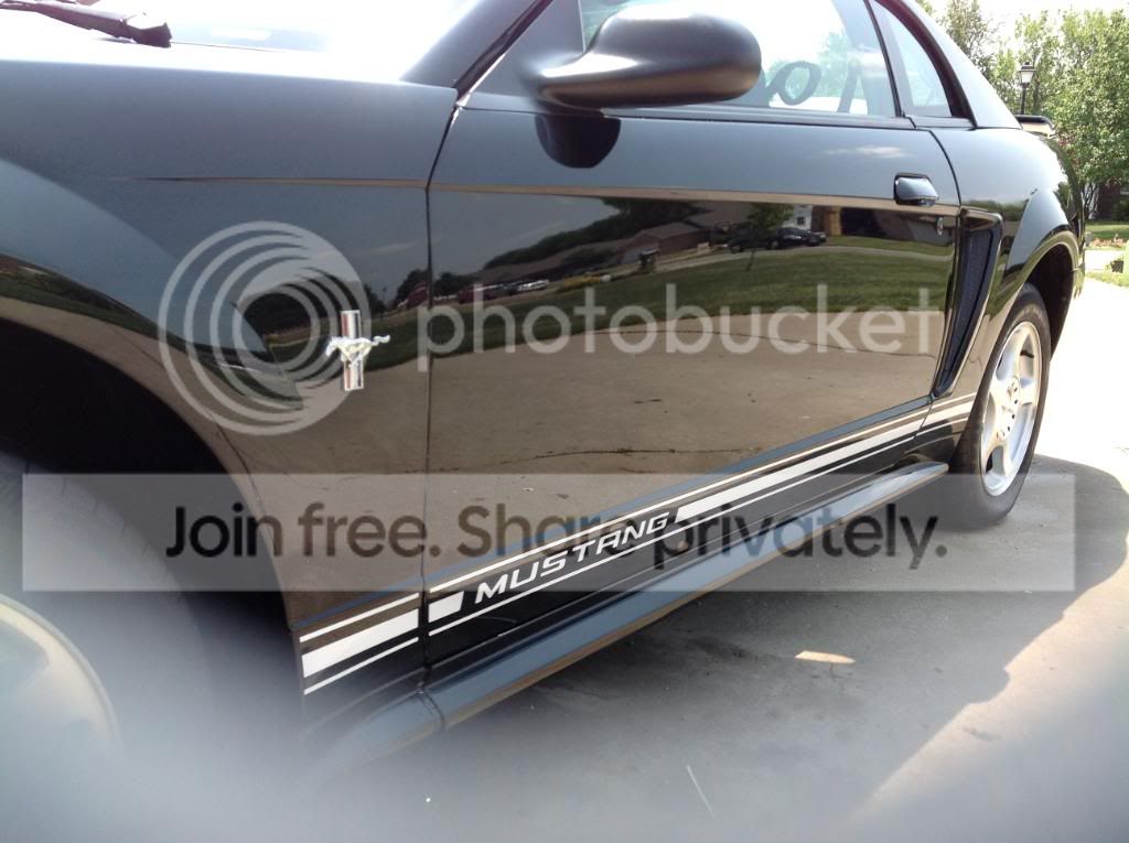 stang8.jpg