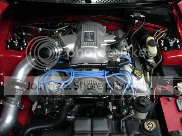 new_cobra_011.jpg