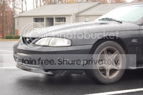 stang3.jpg