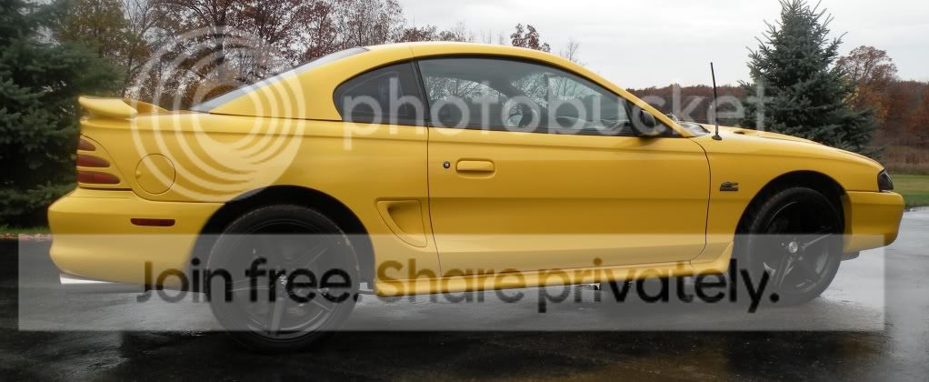 mustangsideview.jpg