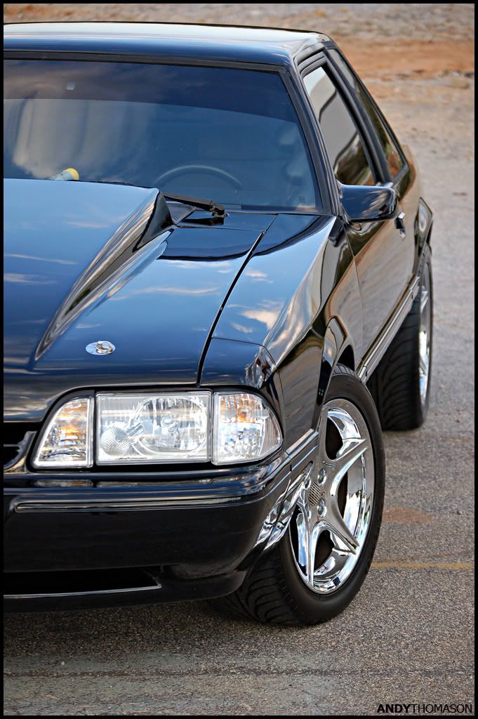 Mustangshoot66.jpg