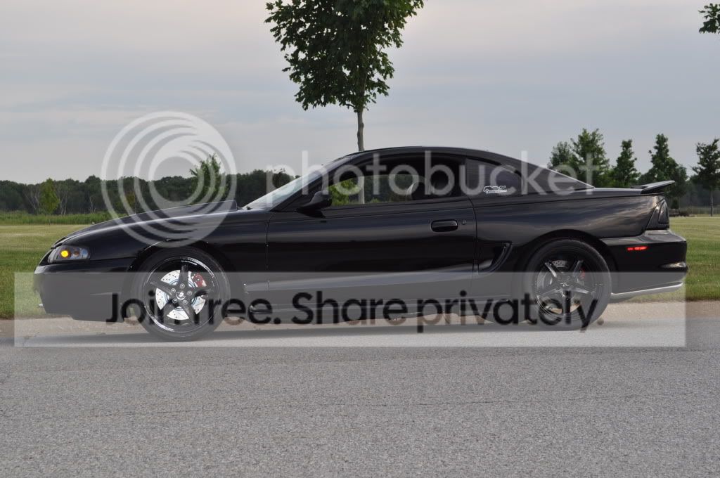 mustang059.jpg