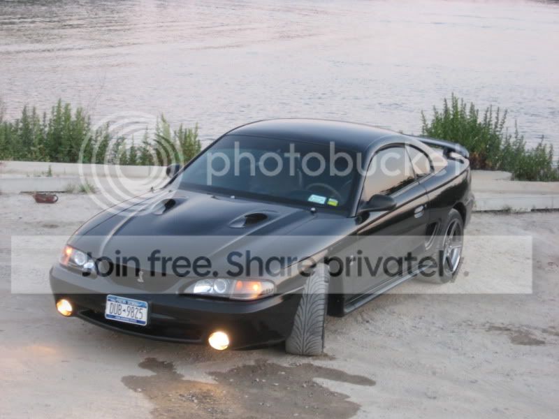 IMG_1266.jpg