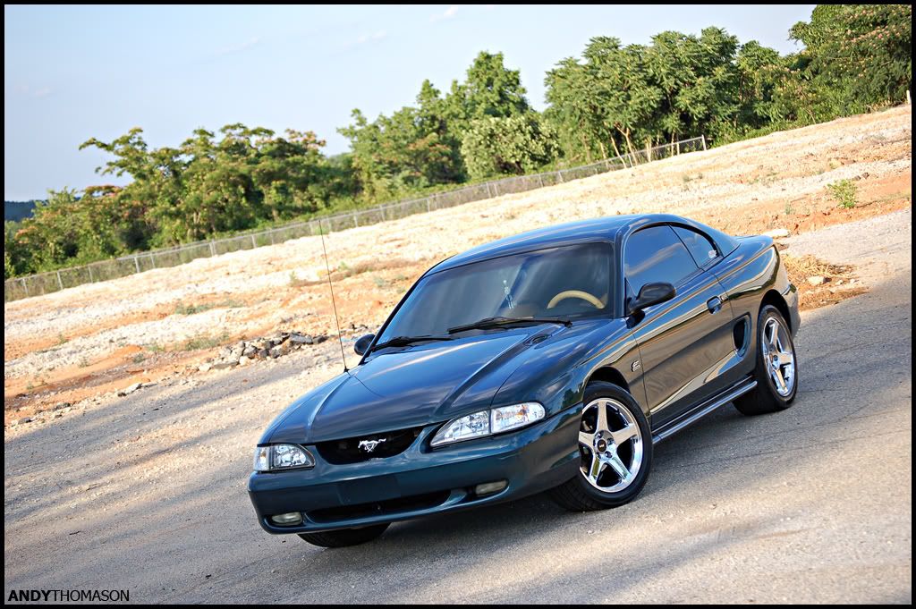 Mustangshoot45.jpg