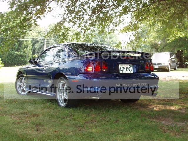 Mustang014.jpg