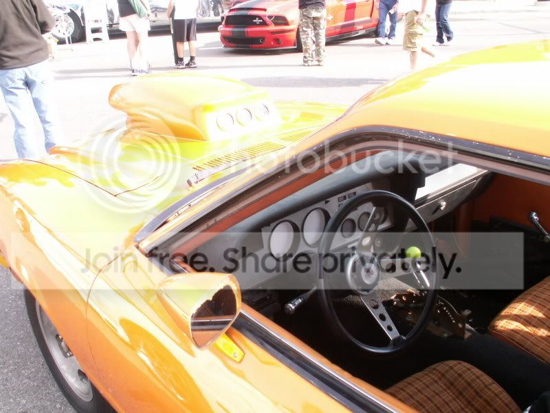 Mustangs059.jpg