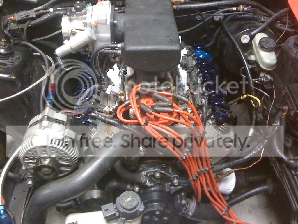 c631c11b.jpg