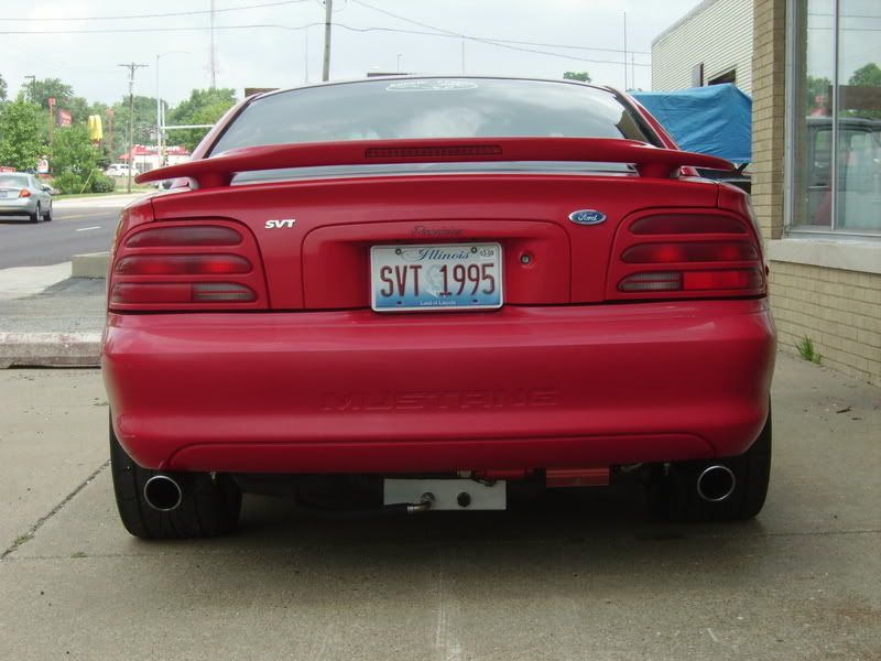 IMGP0611.jpg