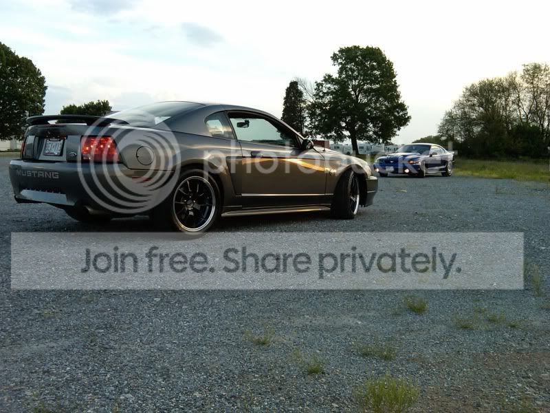 thewhip.jpg