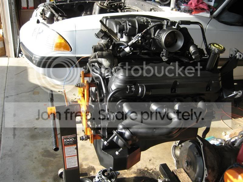 IMG_1177Medium.jpg