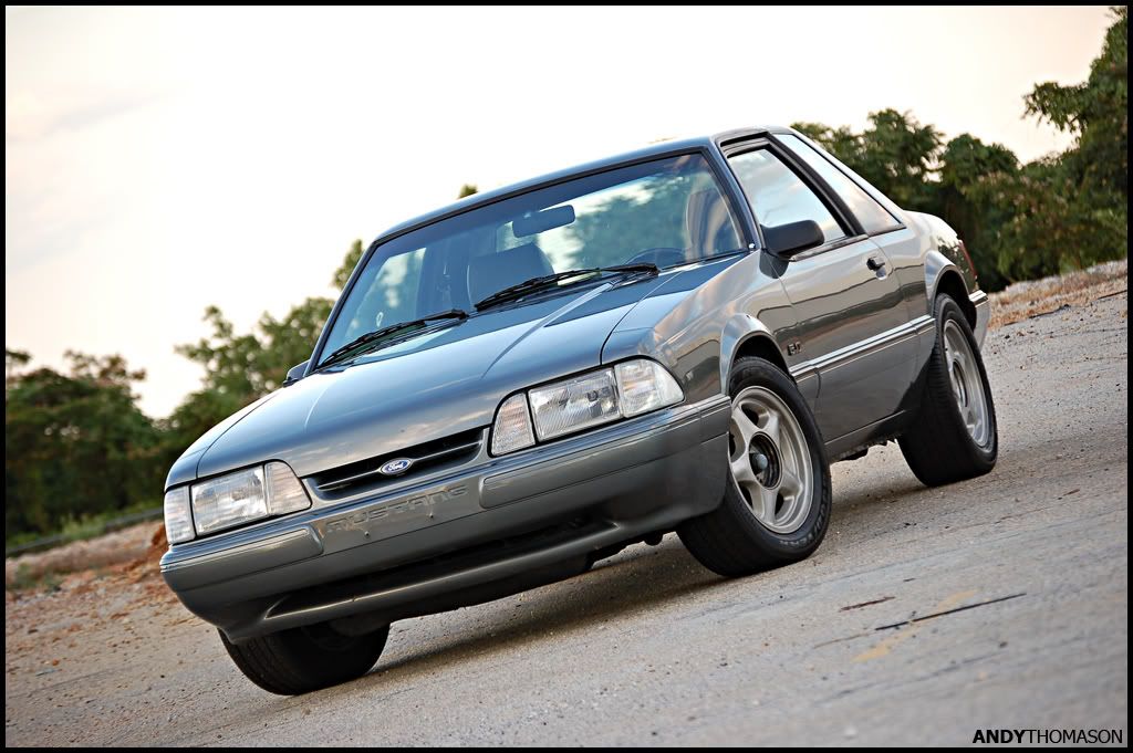 Mustangshoot68.jpg