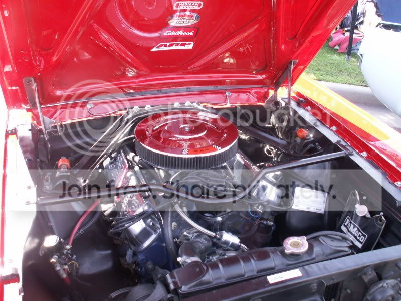 Mustangs121.jpg
