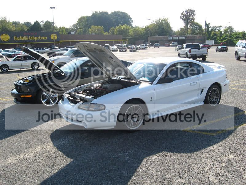 carshow2.jpg