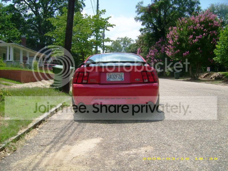 lowered004.jpg