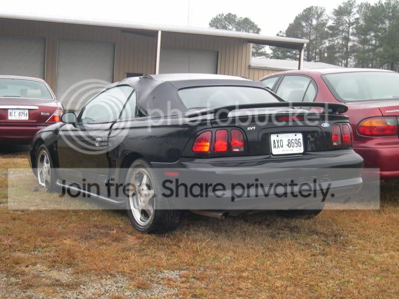 blackcobraconvertible012-1.jpg