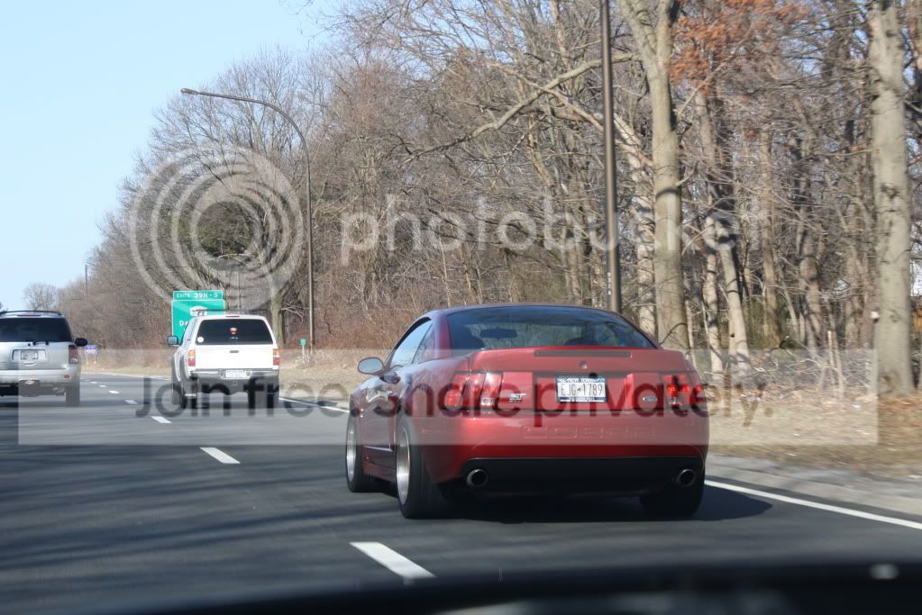 Picture014.jpg