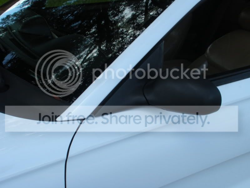 SVTexportmirror003.jpg