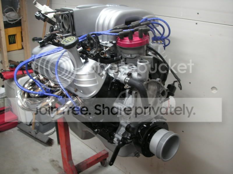mustang007.jpg