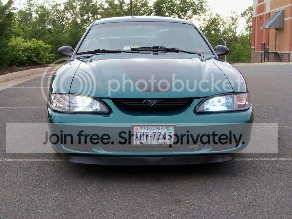 ZebMustang017.jpg