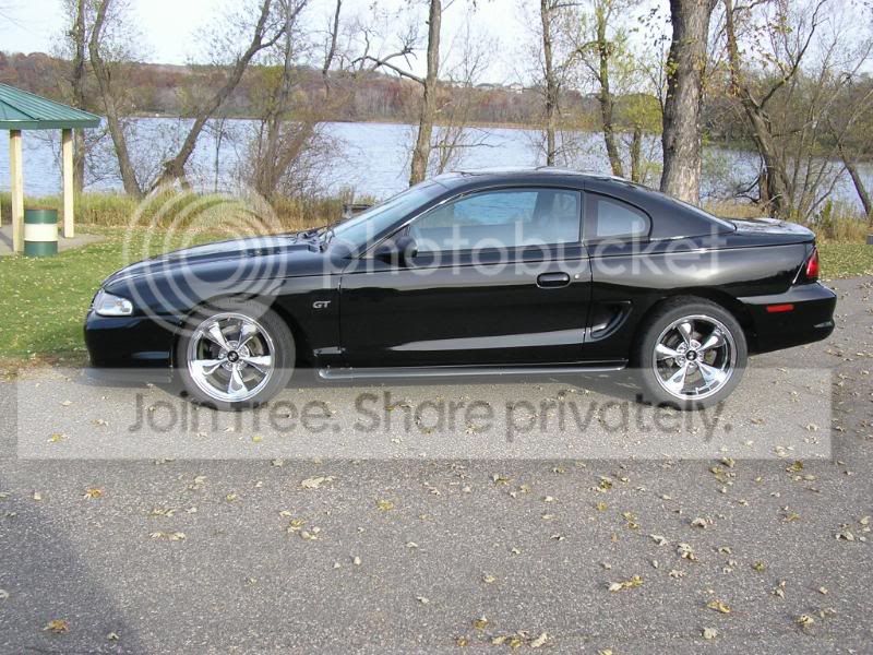 mustang005.jpg