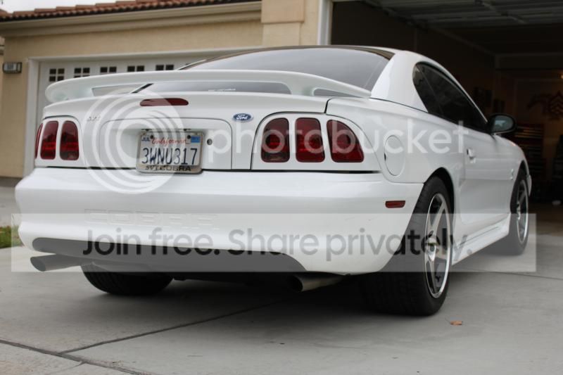 IMG_7801_zpsba86f181.jpg