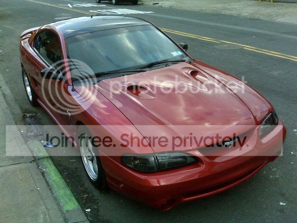 mustang01.jpg