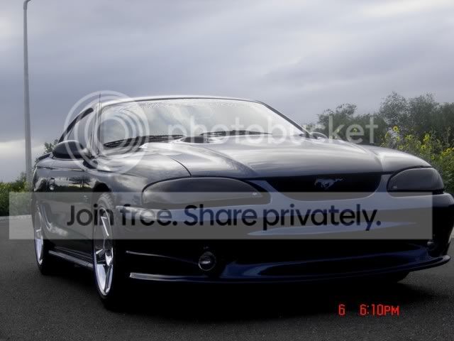 stunnernewpics001.jpg