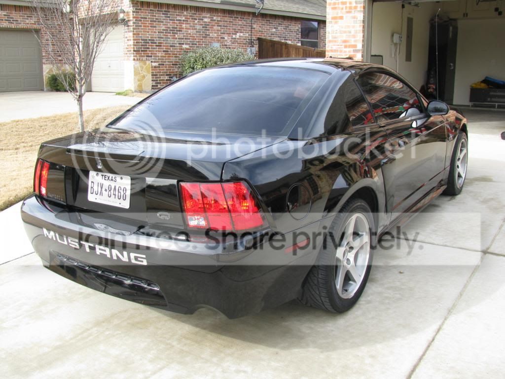 IMG_0723_zps65cd83f8.jpg