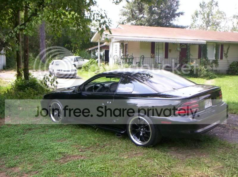 stang2.jpg