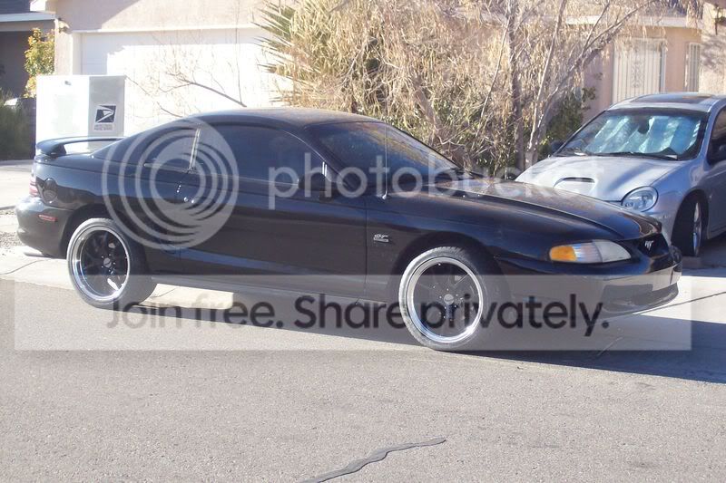 Mustang009-1.jpg