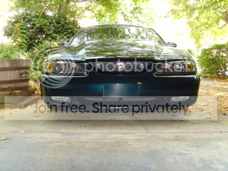 SNV30124.jpg