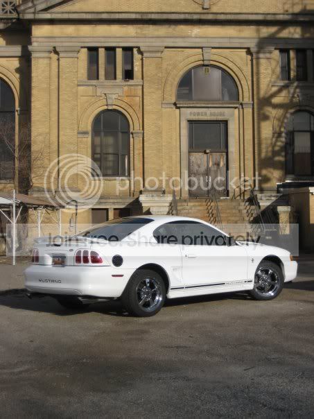 mustang_2.jpg