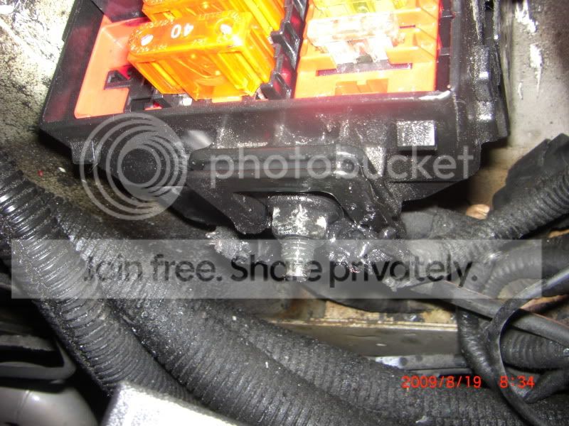 CIMG3942.jpg