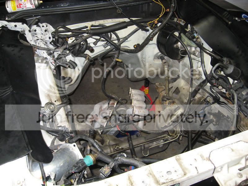 motor1.jpg