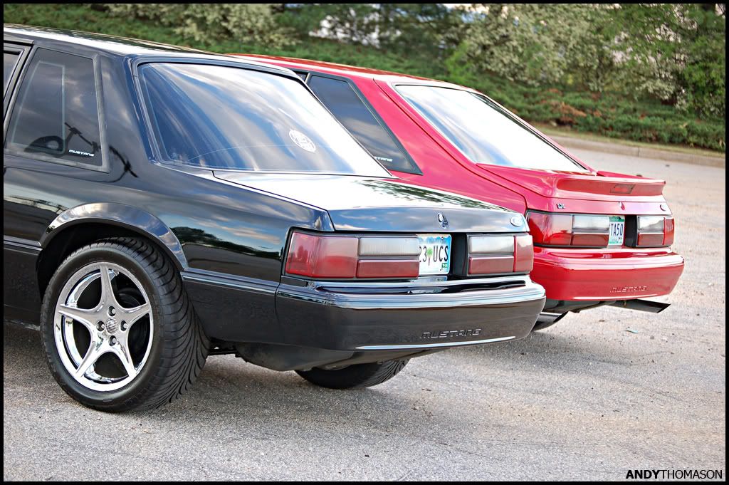 Mustangshoot59.jpg