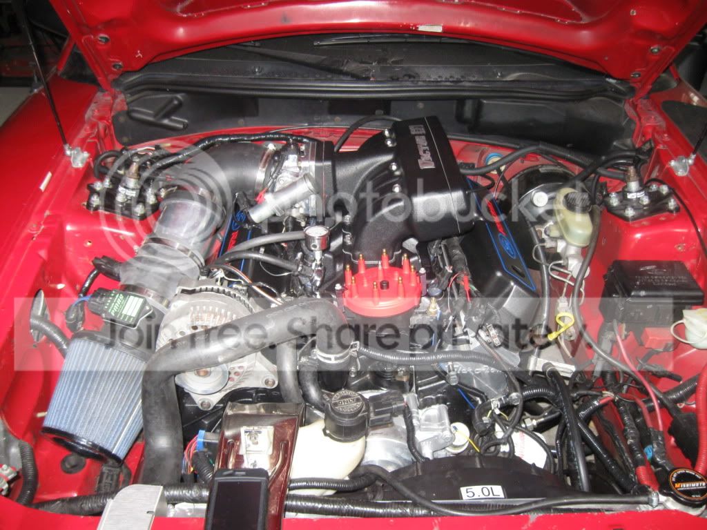 006-29.jpg
