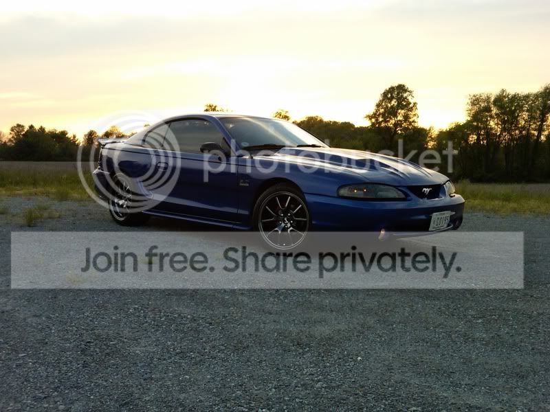 thewhip1.jpg