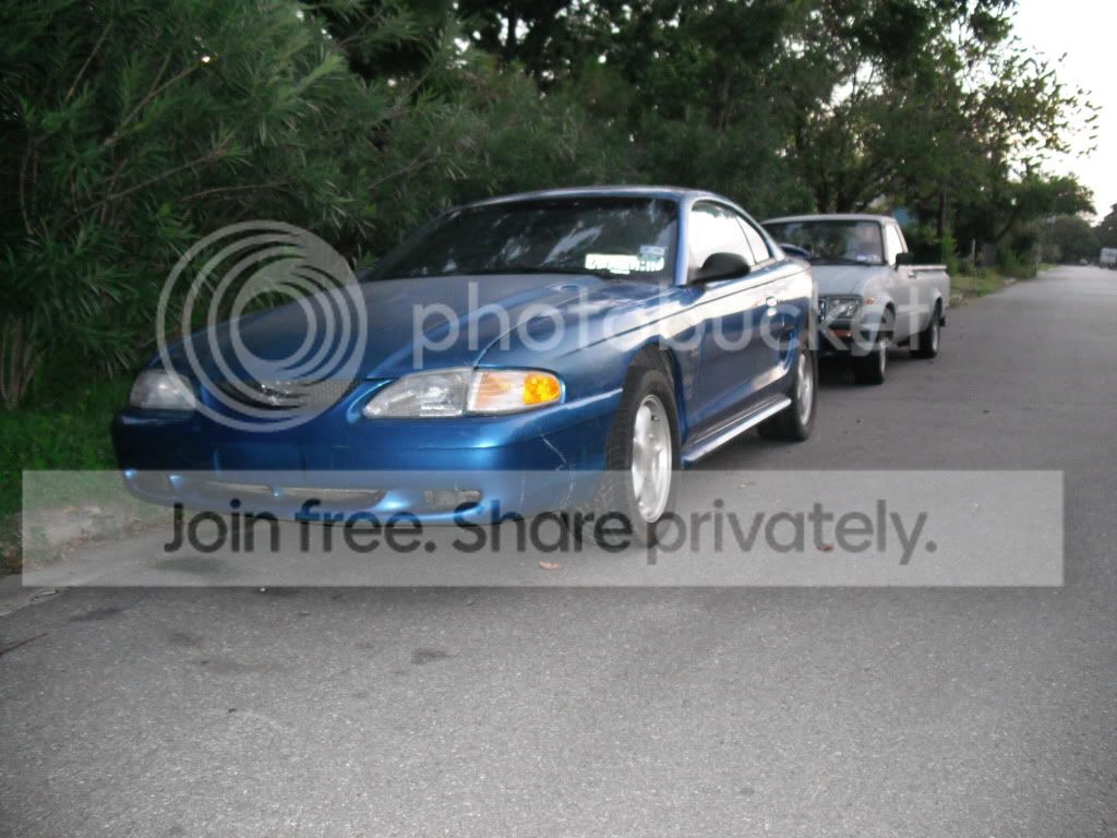 Mustang001.jpg
