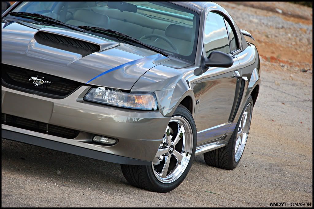 Mustangshoot49.jpg