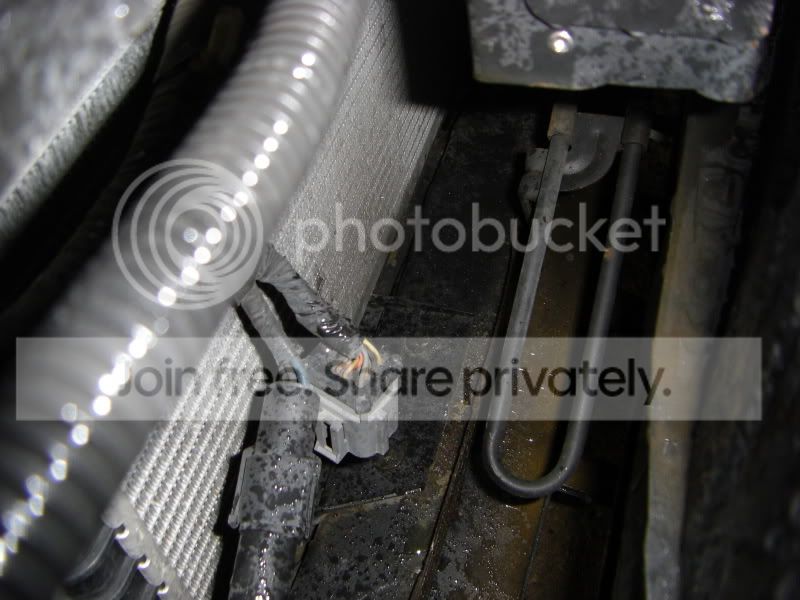 stuff005-7.jpg