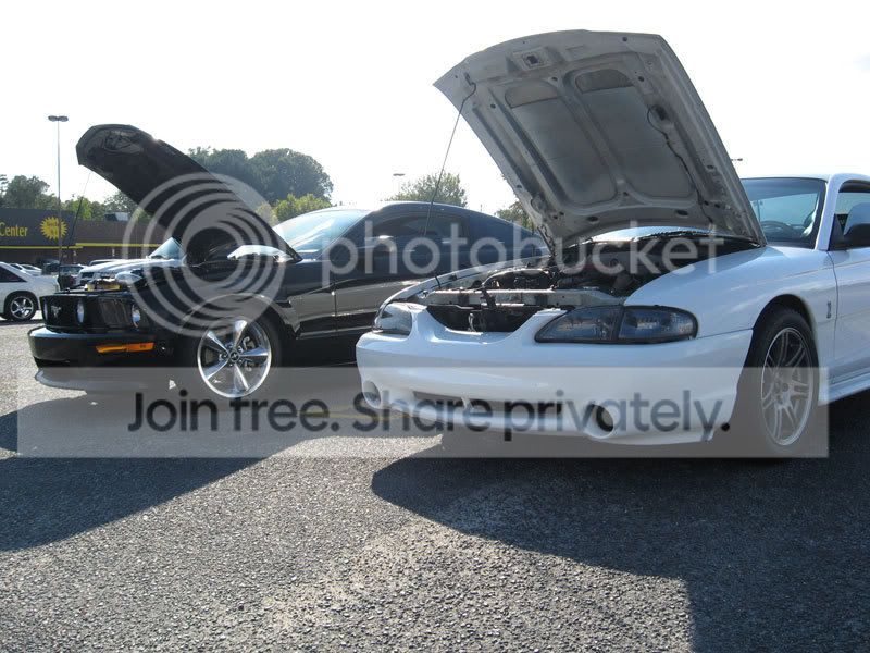 carshow3.jpg