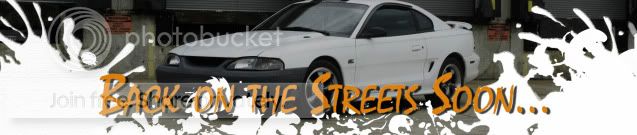 003copy.jpg